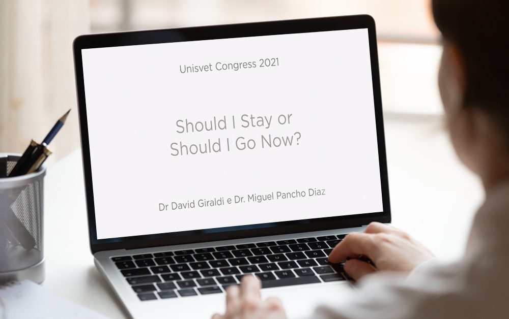 “Should I Stay or should I go?” come valutare la vendita della tua clinica veterinaria