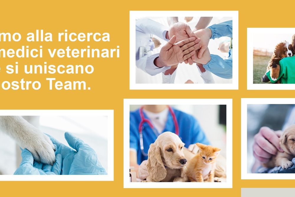VetPartners Ricerca piu’ di 50 Medici Veterinari e Personale di supporto per le sue clinche