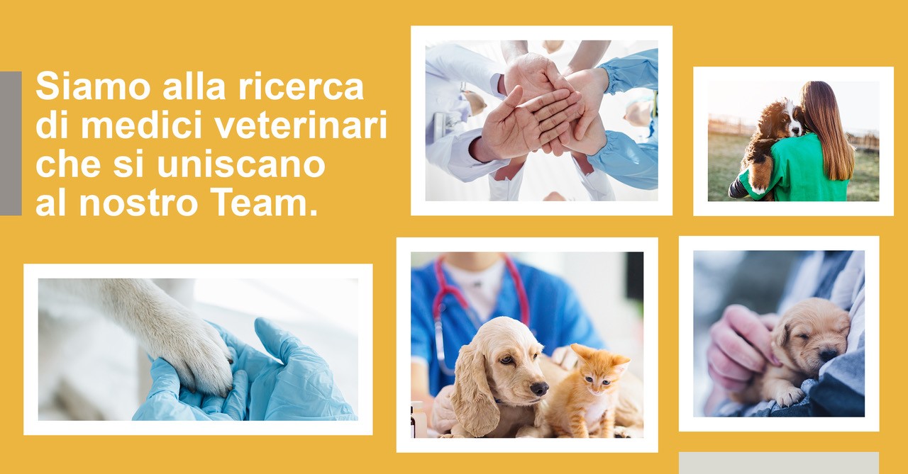 VetPartners Ricerca piu’ di 50 Medici Veterinari e Personale di supporto per le sue clinche