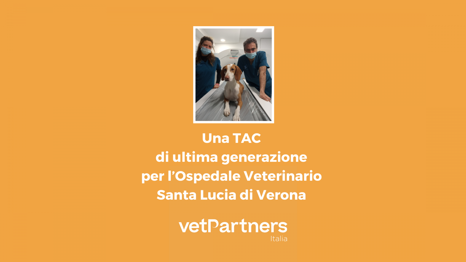 Una TAC di ultima generazione per l’Ospedale Veterinario Santa Lucia di Verona