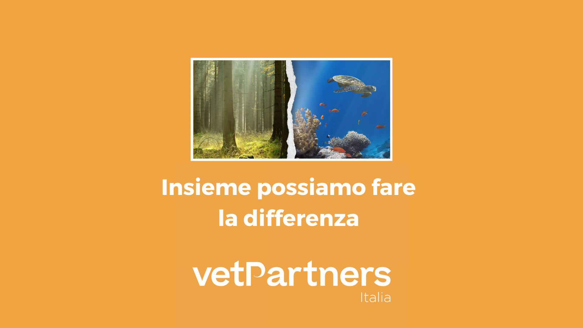 Insieme possiamo fare la differenza