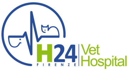 VET HOSPITAL H24 FIRENZE