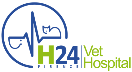 VetHospital H24 Firenze