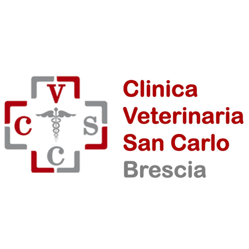 Clinica veterinaria San Carlo