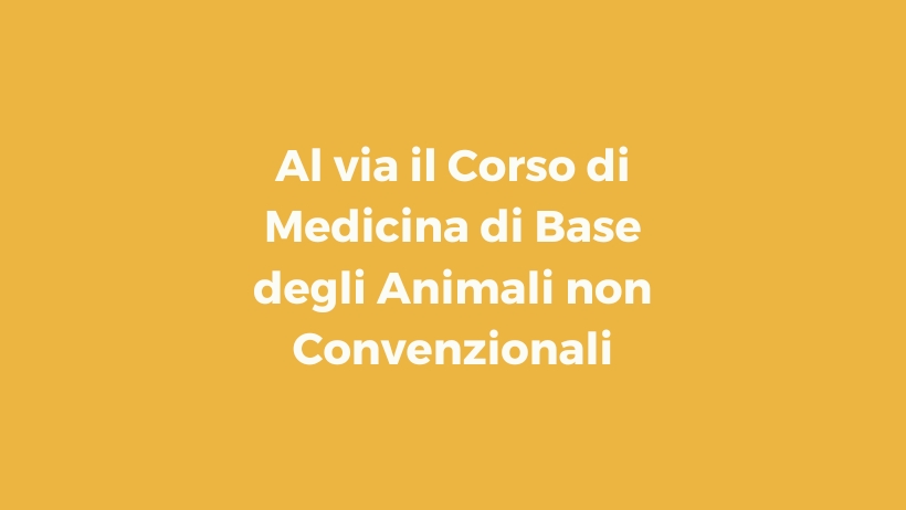 Animali non Convenzionali: al via il corso di Medicina di Base per la famiglia VetPartners Italia