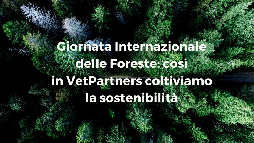 Giornata Internazionale delle Foreste: così in VetPartners coltiviamo la sostenibilità