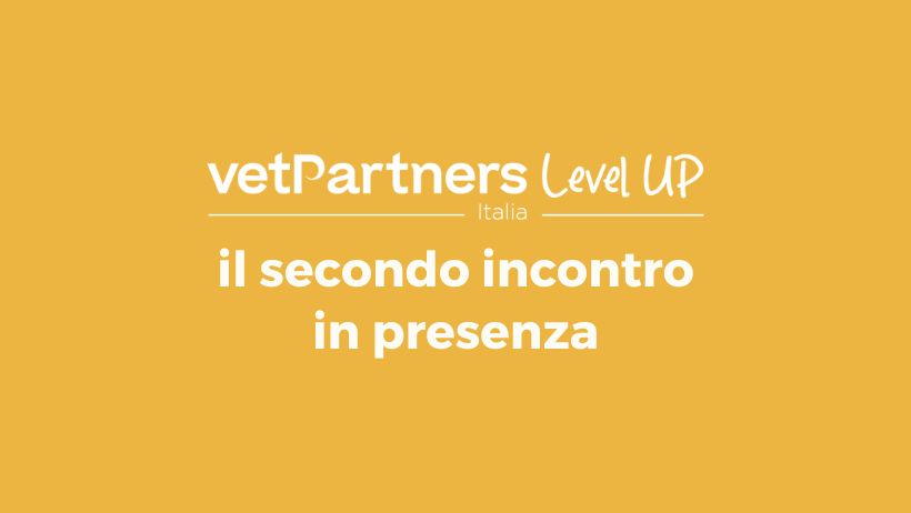 VetPartners Level UP: il secondo incontro in presenza