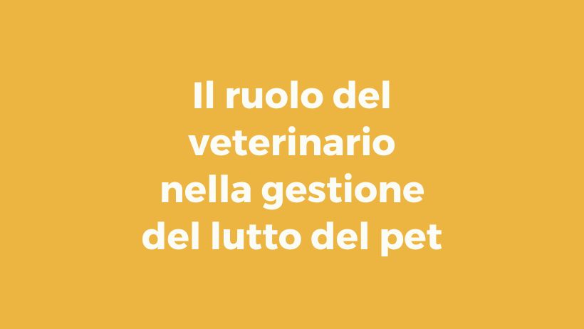 Pillole di wellbeing: il ruolo del veterinario nella gestione del lutto del pet