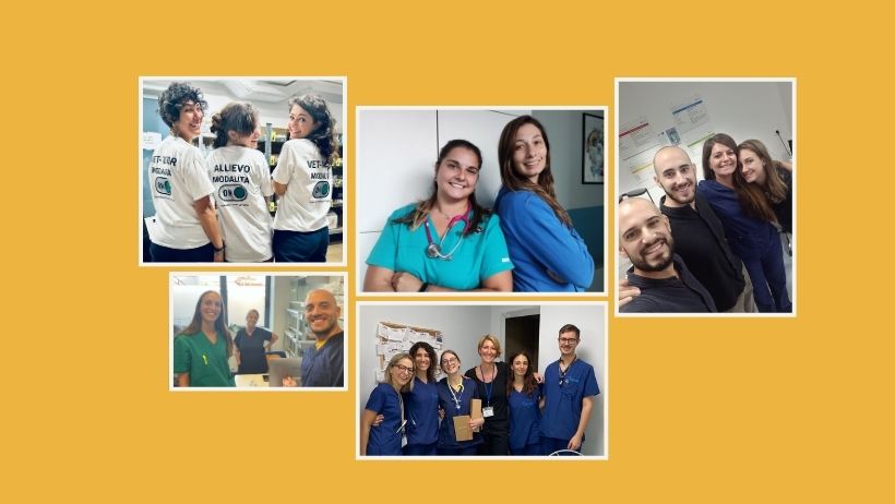 È partita la terza edizione del VetPartners Graduate Program