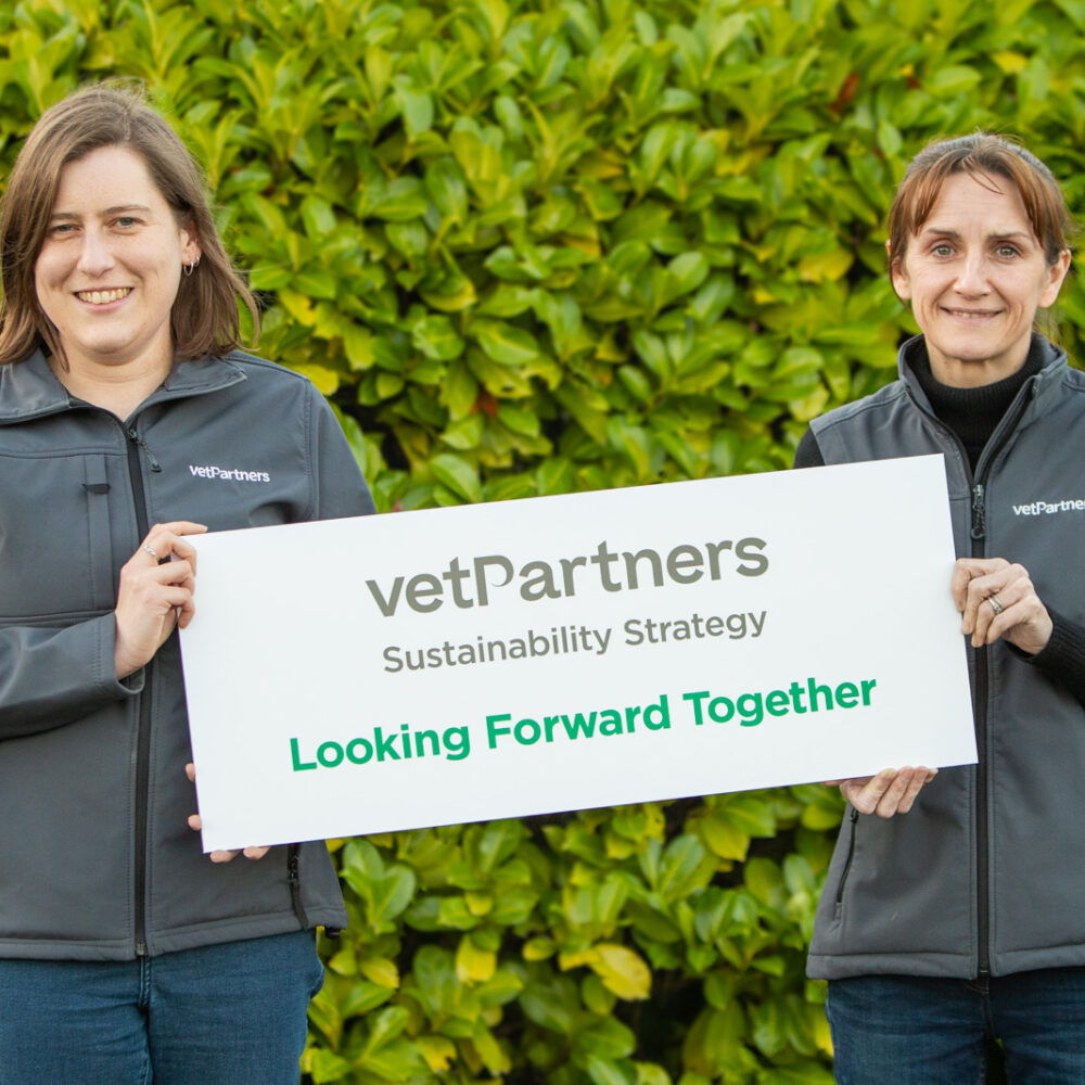 VetPartners per la sostenibilità: un mondo di cambiamenti