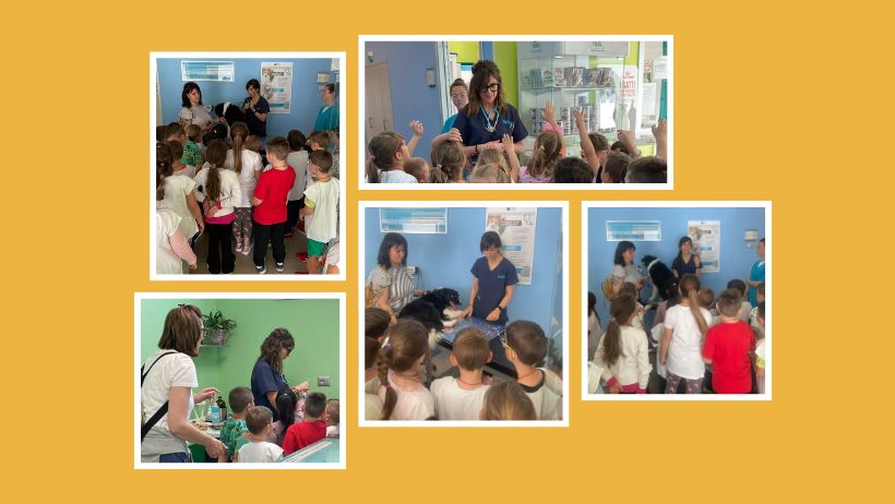Alla Clinica Veterinaria Stazione di Chioggia i bimbi veterinari per un giorno