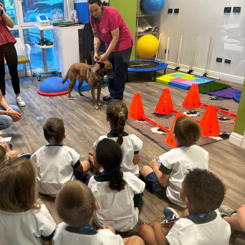I bimbi veterinari per un giorno: l’iniziativa dell’Ospedale degli Animali di Ferrara