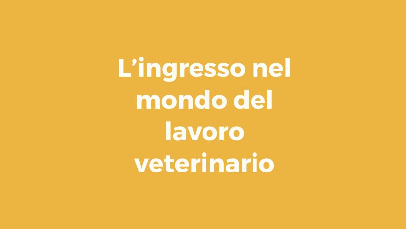 Pillole di wellbeing: l’ingresso nel mondo del lavoro veterinario