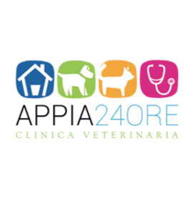 La Clinica Veterinaria Appia 24 ore