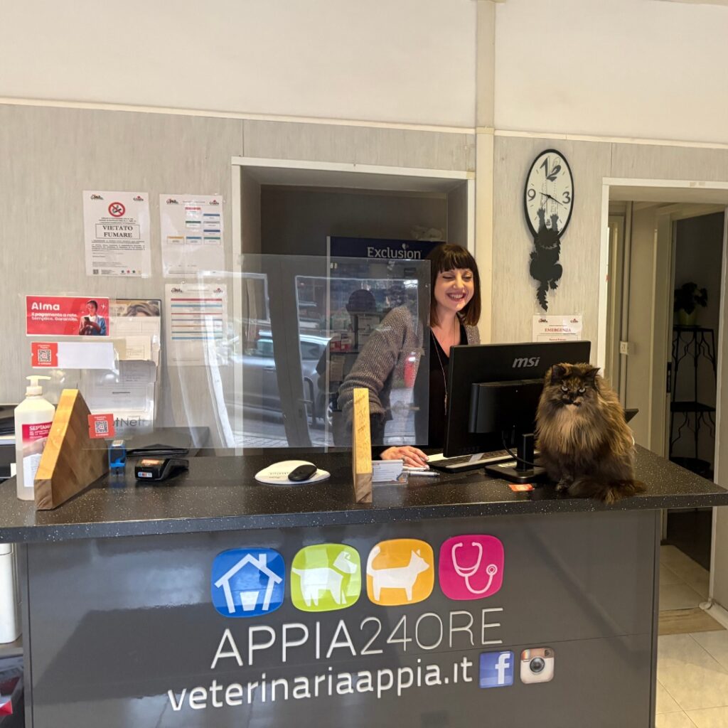 Una mascotte in corsia: Appia della Clinica Veterinaria Appia 24 ore