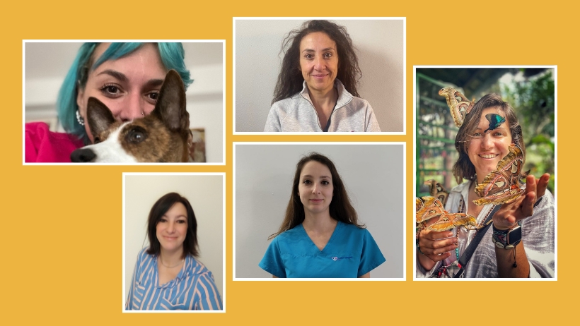 Crescita, passione e determinazione: cinque storie tutte al femminile in VetPartners