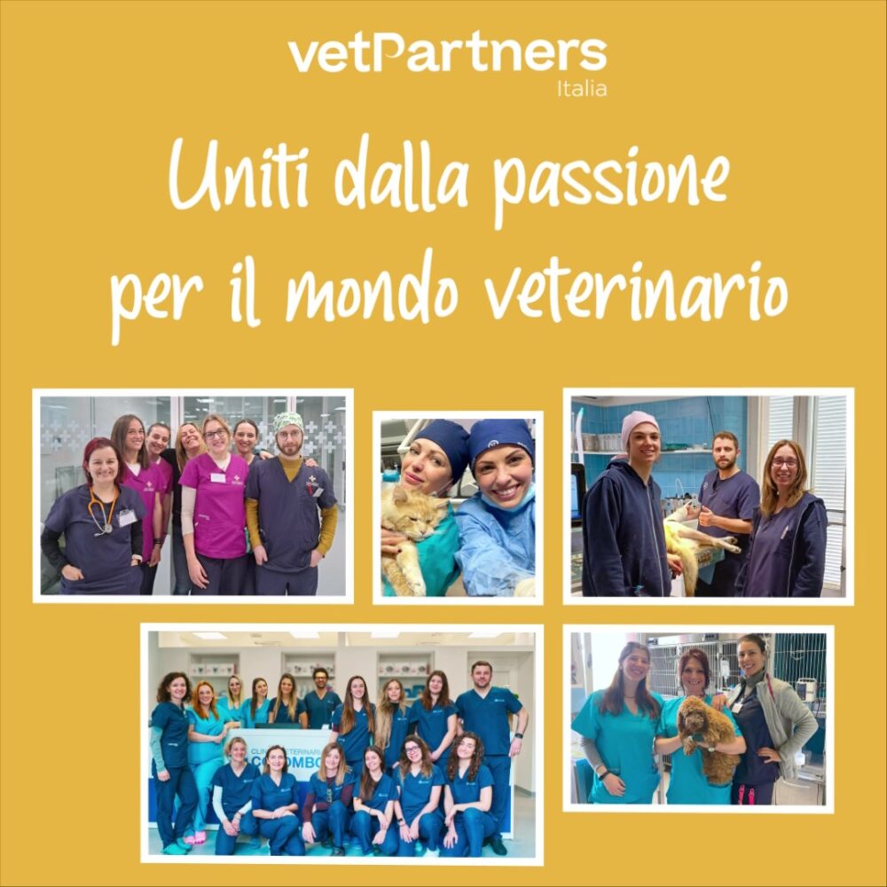 Uniti dalla passione per il mondo veterinario