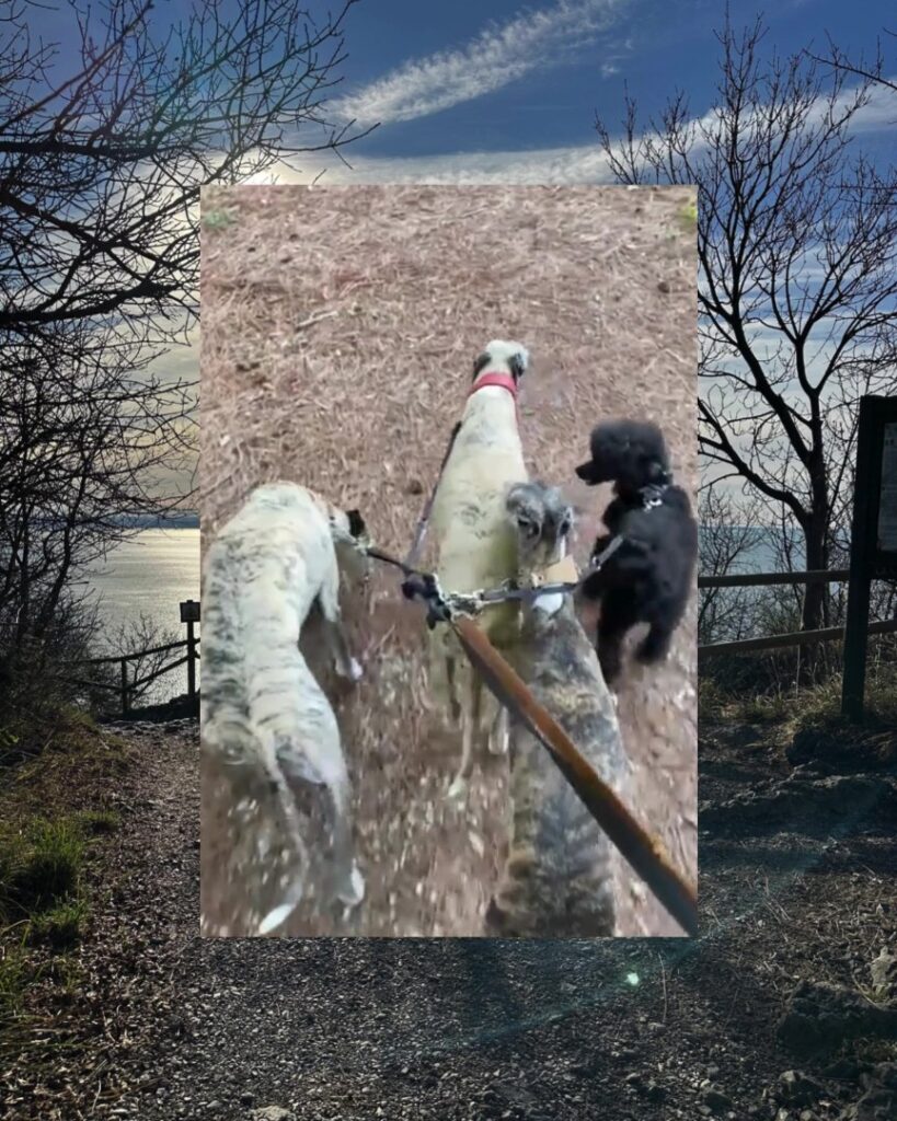 VetParnters' Month of Movement 2025