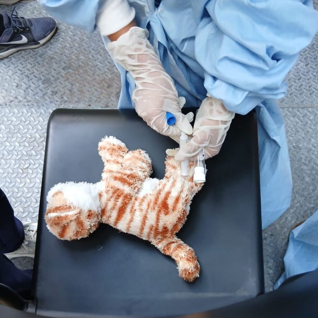 Alla Versiliana con la Clinica Veterinaria Colombo piccoli Veterinari