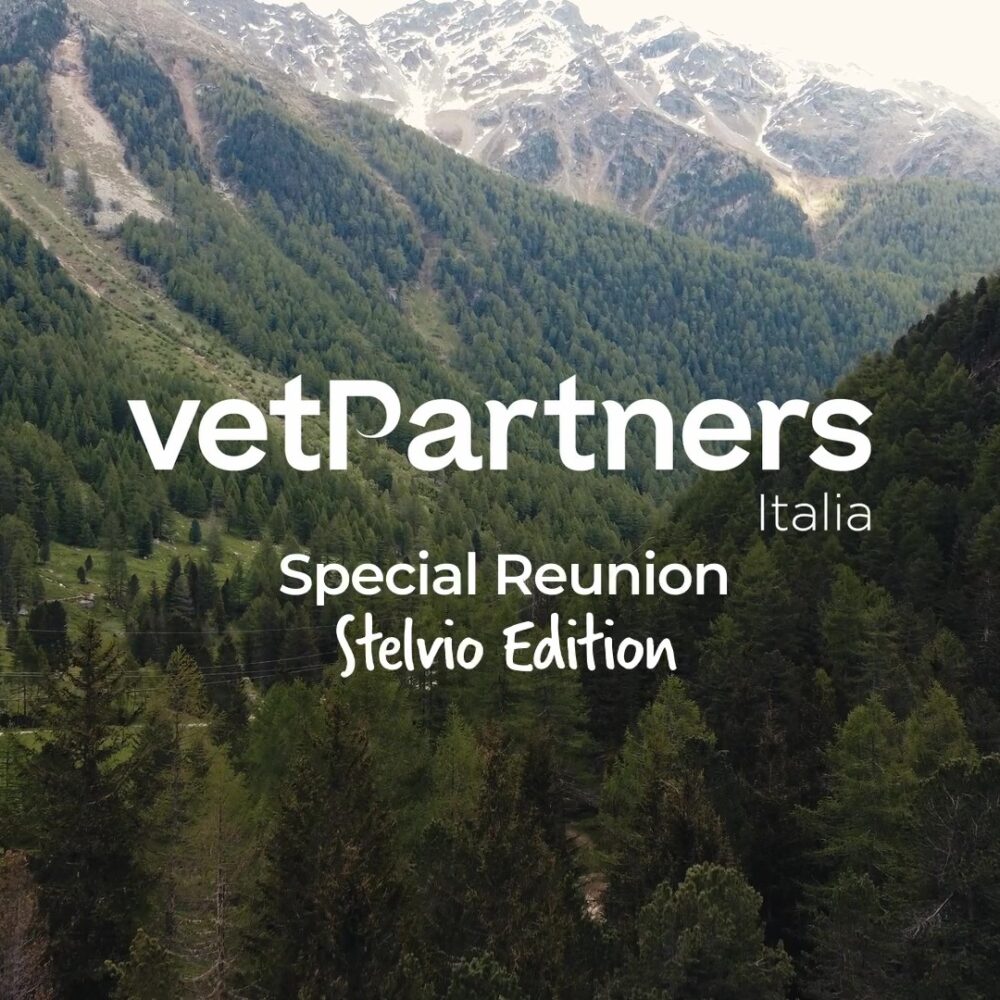 La Special Reunion 2025 di VetPartners Italia, Stelvio Edition!