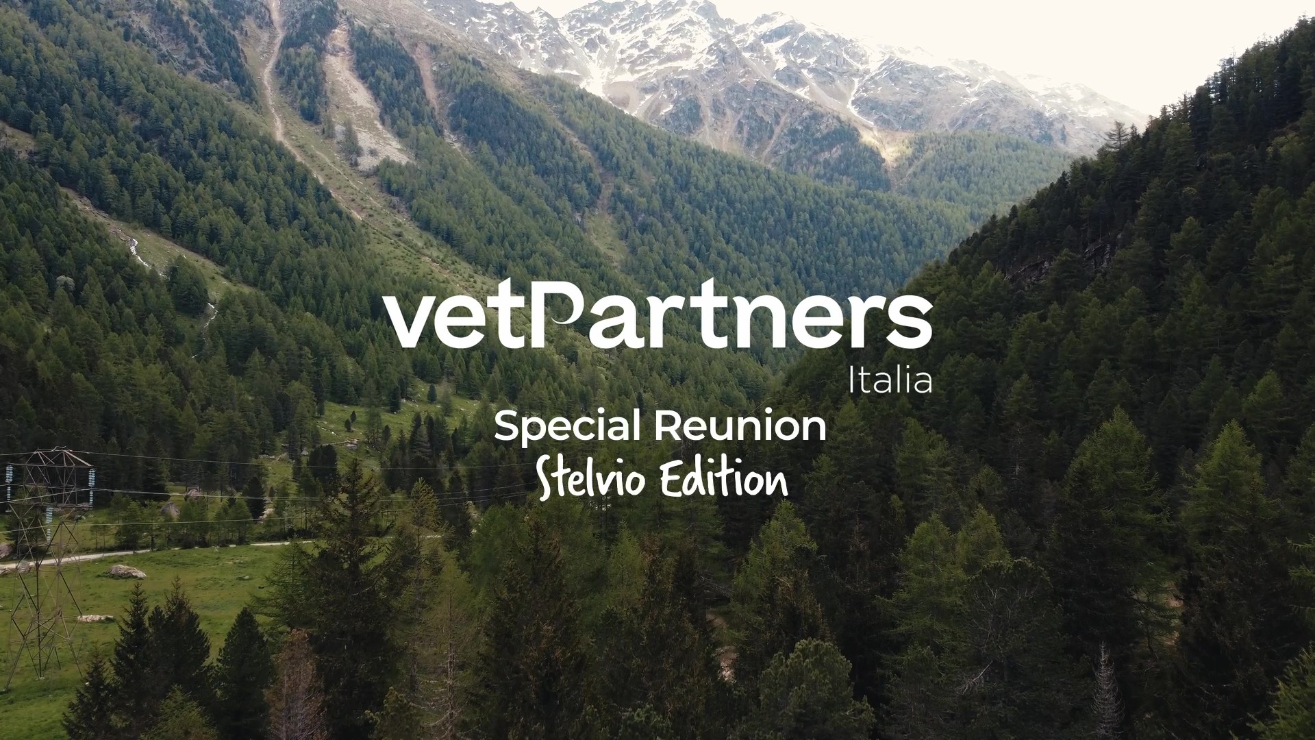 La Special Reunion 2025 di VetPartners Italia, Stelvio Edition!