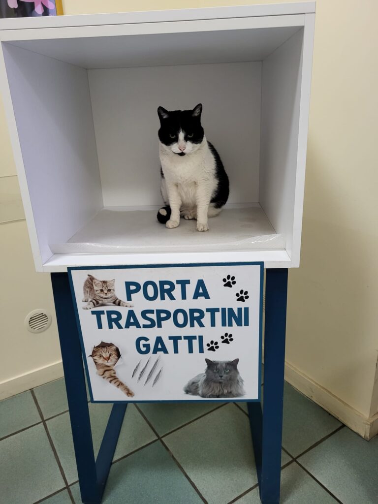 La mascotte del Centro Veterinario Maccauro di Benevento: Nerino!
