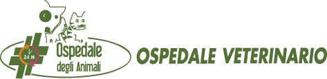 Ospedale Degli Animali Ferrara