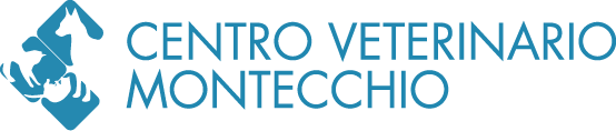  Centro Veterinario Montecchio