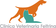Clinica Veterinaria Feltrina