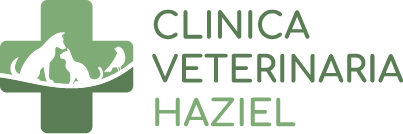 Clinica Veterinaria Haziel 