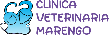 Clinica Veterinaria Marengo 