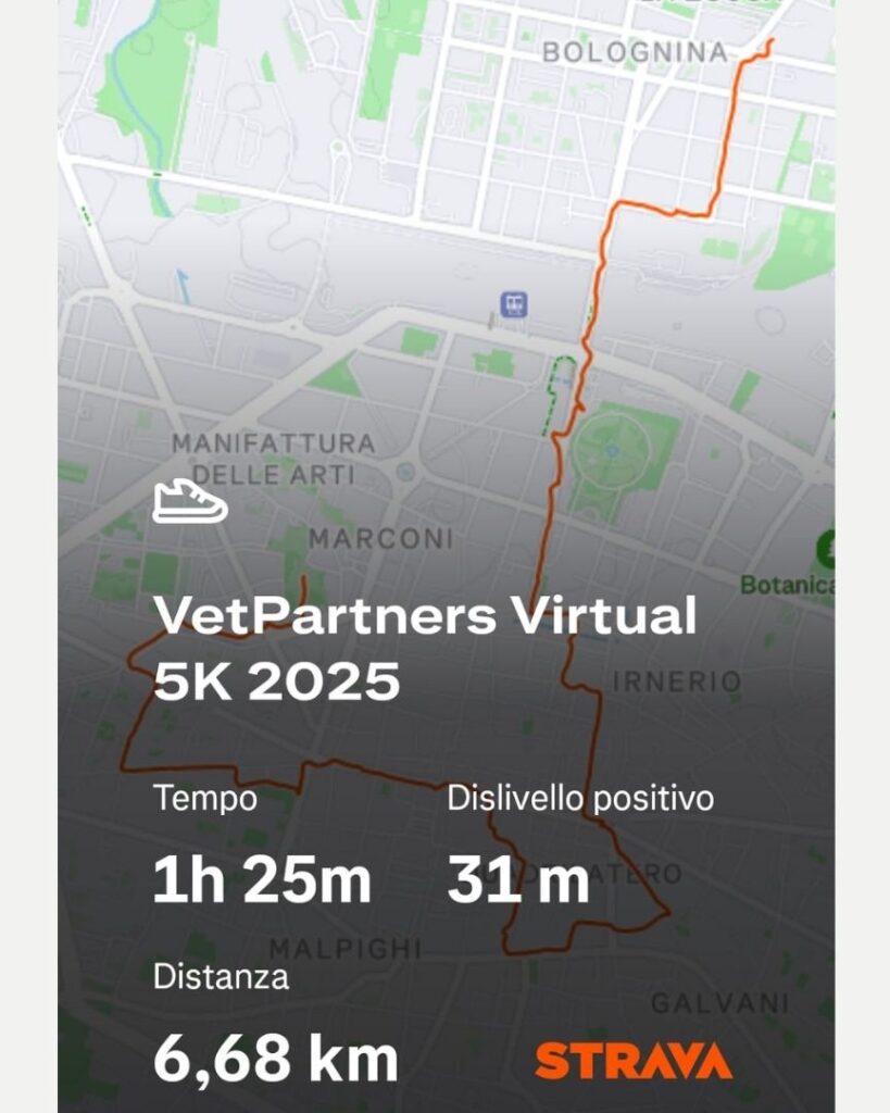 VetPartners: una camminata a Bologna per il bene dell'ambiente