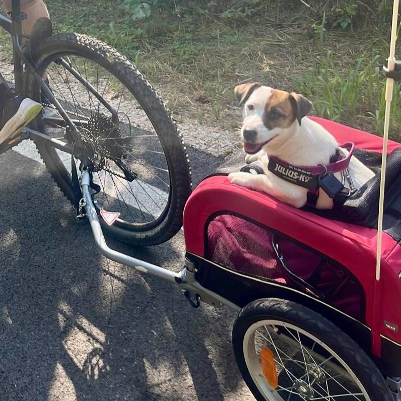 Una mascotte in corsia