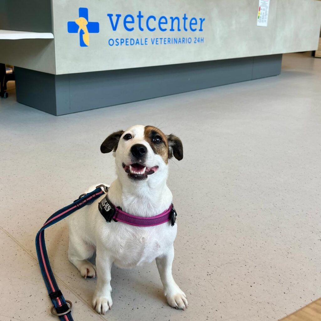 Una mascotte in corsia