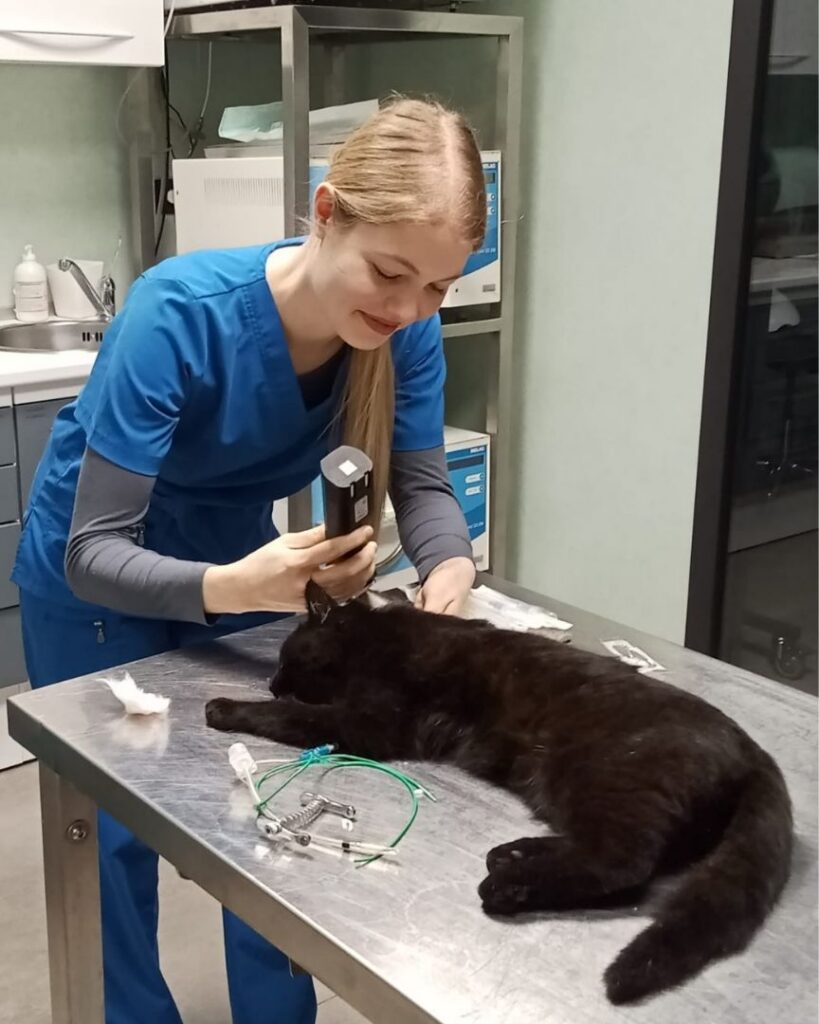 giovane veterinario con gatto