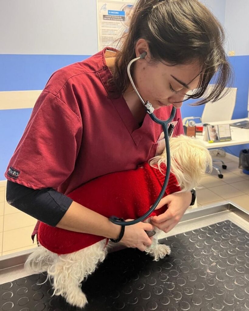 giovane veterinario con cane