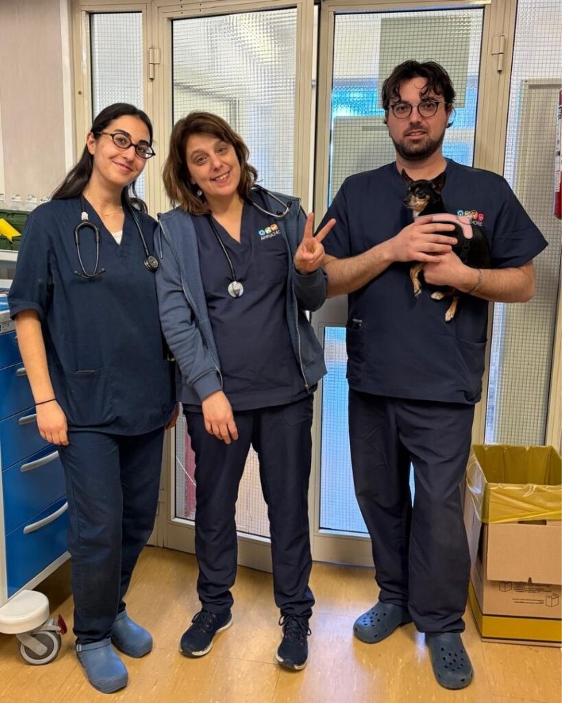 8 edizione del Graduate Program