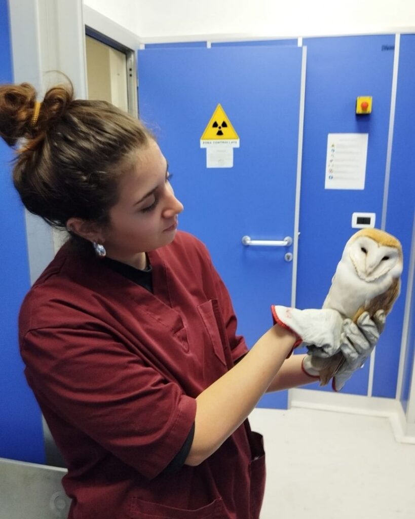 Parte la nuova edizione del Graduate Program