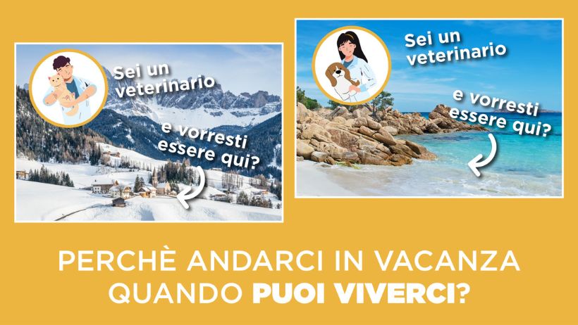Veterinari italiani che lavorano all'estero e vogliono rientrare in Italia