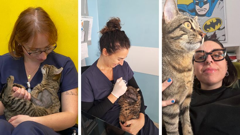 Una mascotte in corsia… e in ufficio: la storia di Suri della Clinica Veterinaria Leonardo Da Vinci (e non solo!)