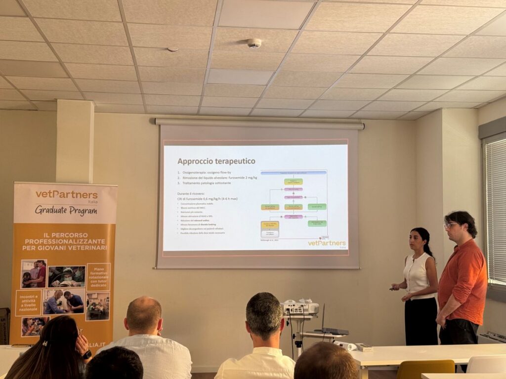 VetPartners Graduate casi clinici