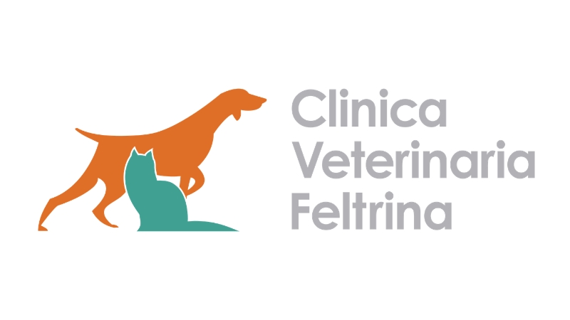 Logo clinica veterinaria feltrina per pagina offerte di lavoro veterinario a la feltre