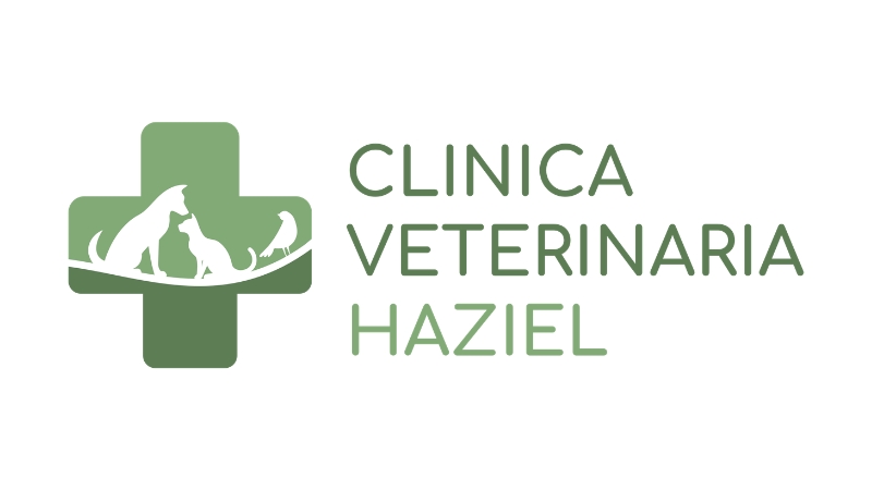Logo clinica veterinaria haziel per pagina offerte di lavoro veterinario a la spezia