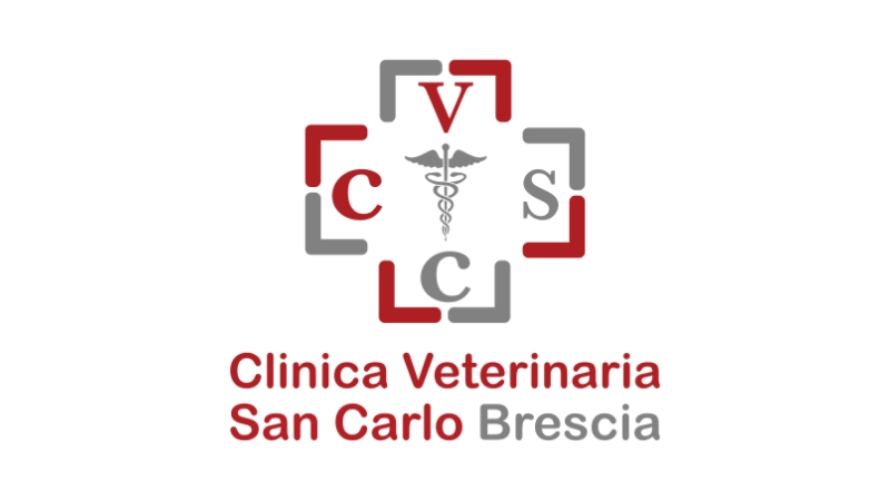 Logo clinica veterinaria san carlo per pagina offerte di lavoro veterinario a brescia