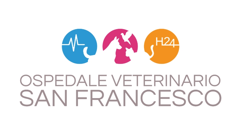 Logo ospedale veterinario san francesco per pagina offerte di lavoro veterinario a treviso