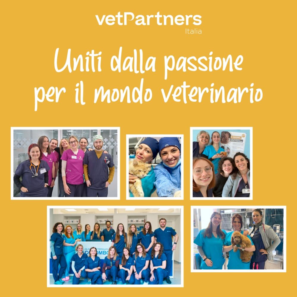 Uniti dalla passione per il mondo veterinario