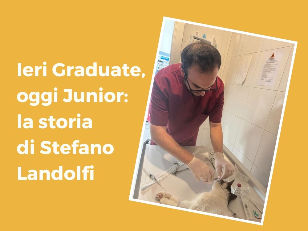 Ieri Graduate, oggi Junior: la storia di Stefano Landolfi