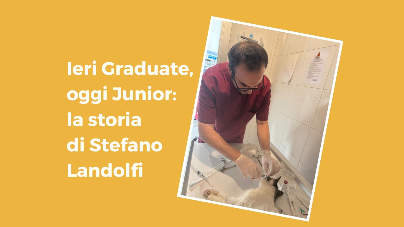 Ieri Graduate, oggi Junior: la storia di Stefano Landolfi