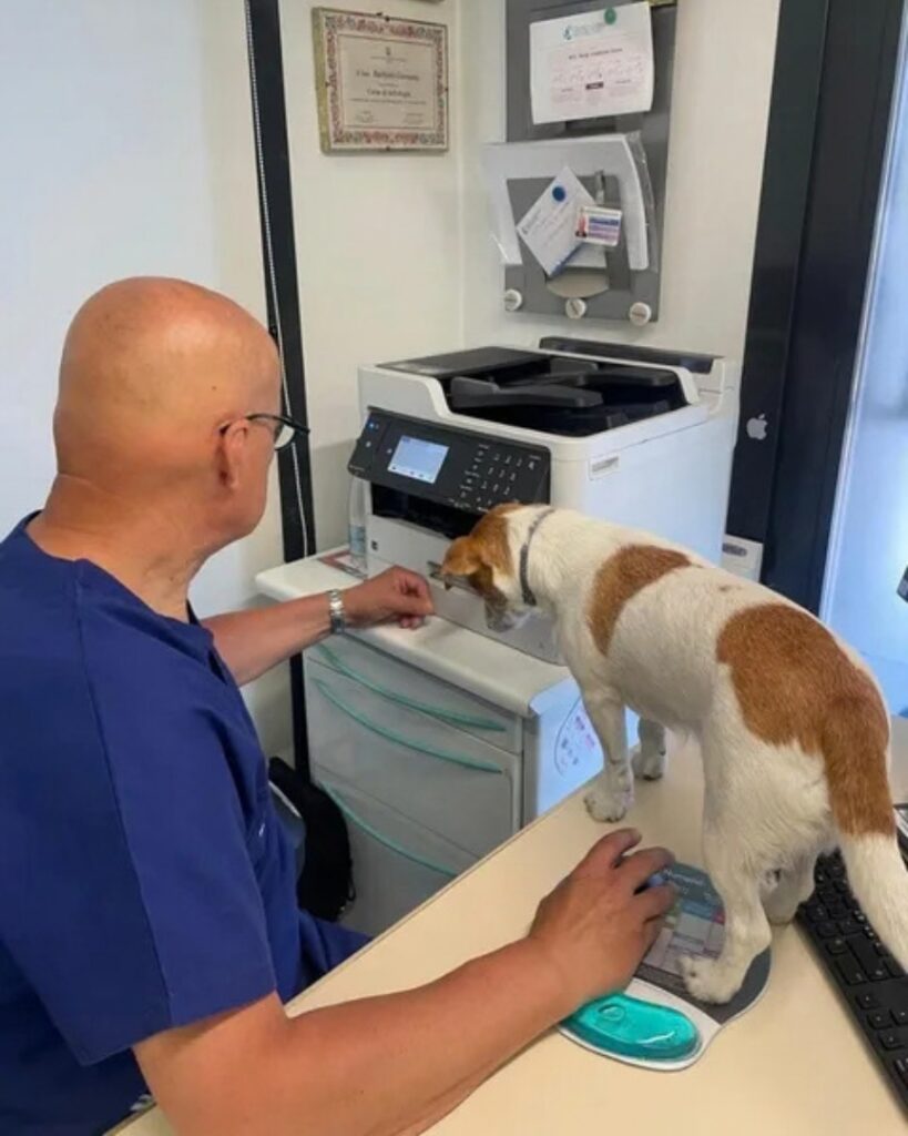 Una mascotte del Centro Veterinario Montecchio