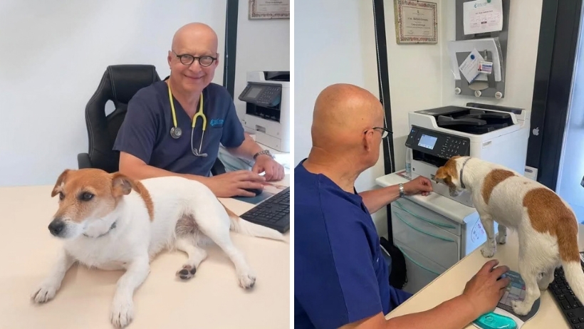 Una mascotte in corsia: la storia di Dori del Centro Veterinario Montecchio